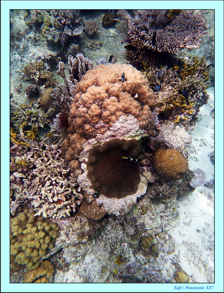 2012 - 07 - Palinton Sanctuary 07